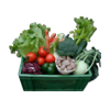 medium bio-schatzkistl